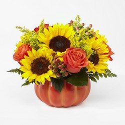 Harvest Traditions Pumpkin -A local Pittsburgh florist for flowers in Pittsburgh. PA